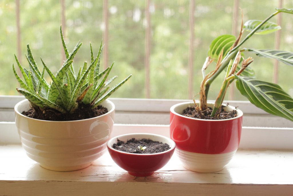 Best Diwali Offers on Home Decor Best Diwali Offers on Home Decor